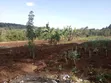 Eneo la Prime Quarter Acre Linauzwa Ngong Matasia - 1