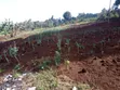 Eneo la Prime Quarter Acre Linauzwa Ngong Matasia - 3
