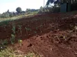 Eneo la Prime Quarter Acre Linauzwa Ngong Matasia - 4