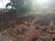 Eneo la Prime Quarter Acre Linauzwa Ngong Matasia - 5