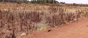 3 Acres Land for Lease - Eastern Bypass