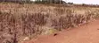 3 Acres Land for Lease - Eastern Bypass - 3