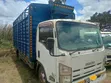 Isuzu Elf Lorry - Buy and Drive - 2