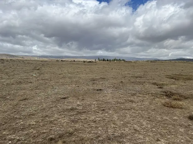 1 Acre Plots for Sale in Naivasha - KES 5 Million Cash - 1