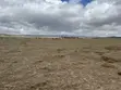 1 Acre Plots for Sale in Naivasha - KES 5 Million Cash - 1