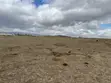 1 Acre Plots for Sale in Naivasha - KES 5 Million Cash - 2