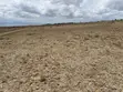 1 Acre Plots for Sale in Naivasha - KES 5 Million Cash - 3