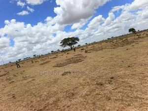 Land for Sale: 50x100 Plots in Rumuruti Phase 56