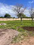 Kitalu cha 1/4 Acre Diani Beach Kwenye Gated Community - 2
