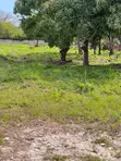 Kitalu cha 1/4 Acre Diani Beach Kwenye Gated Community - 3