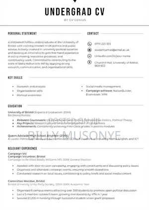 Professional CV Writing & LinkedIn Optimization Services