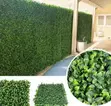 Artificial Foliage Hedge Panels - Realistic Greenery - 2