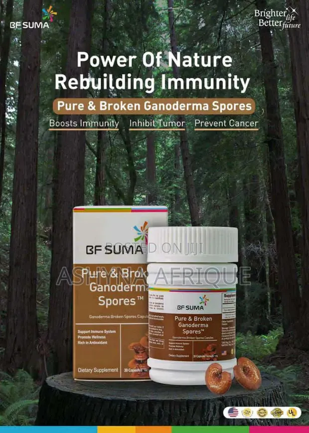 Bf Suma Ganoderma Spores Safi na Zilizovunjika Vidonge 30 - 1