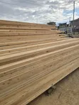 Fresh Cypress Timber - 1