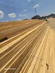 Fresh Cypress Timber - 2