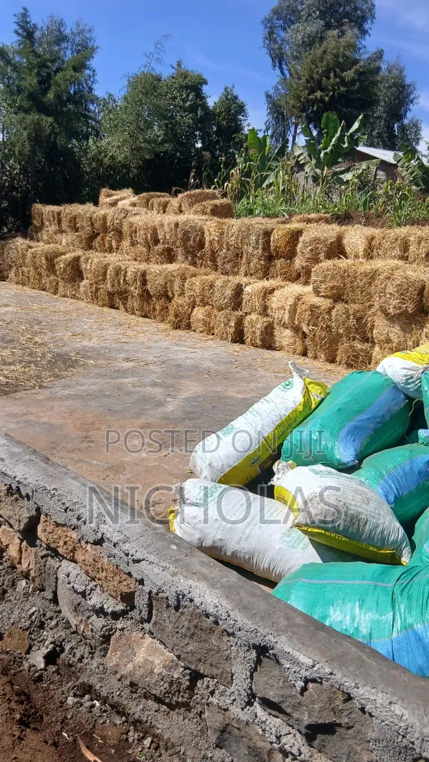 Boma Rhodes, Wheat Straws, Barley Straws Available - 1