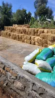 Boma Rhodes, Wheat Straws, Barley Straws Available - 1