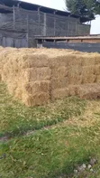 Boma Rhodes, Wheat Straws, Barley Straws Available - 4