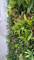 Premium Artificial Grass & Green Wall Foliage Supply & Installation - 5