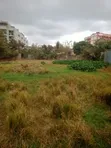 Commercial Half Acre Land for Sale in Juja - Near JKUAT - 1
