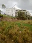 Commercial Half Acre Land for Sale in Juja - Near JKUAT - 2