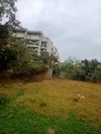 Commercial Half Acre Land for Sale in Juja - Near JKUAT - 4