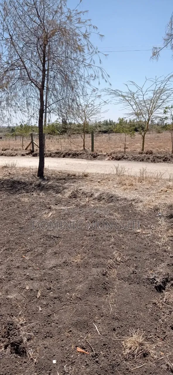 Ardhi ya Block 1 Athi River Inauzwa - 1