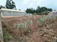 Eight Acre Plot for Sale, Ndeiya - 2