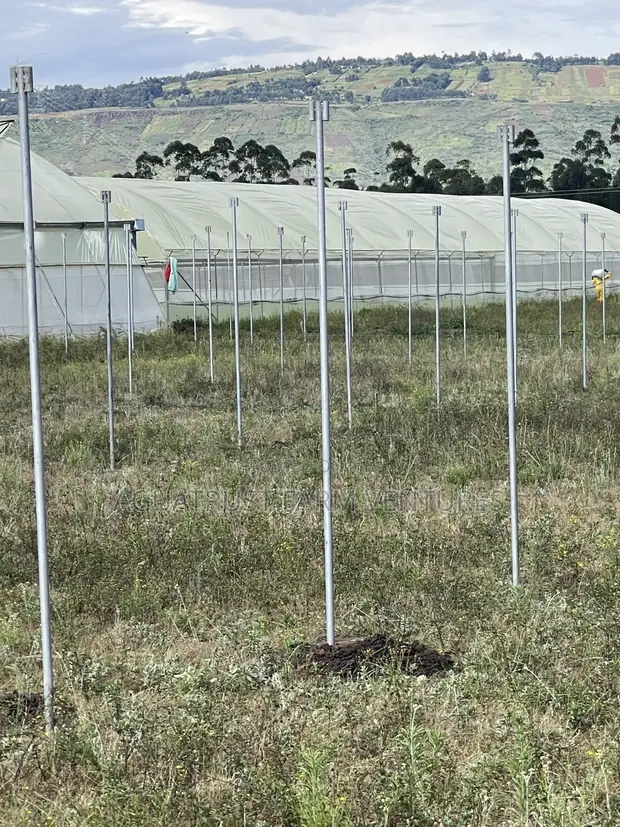 Greenhouse Installation Services - 1
