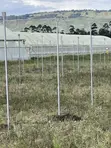 Greenhouse Installation Services - 1
