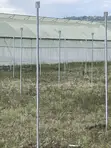 Greenhouse Installation Services - 2