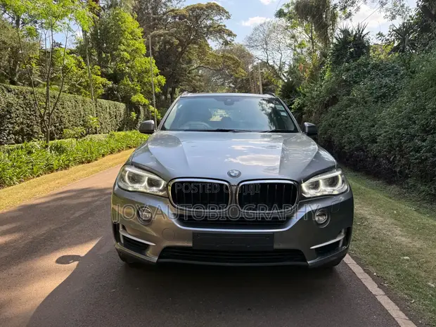 2015 BMW X5 30d - 1