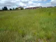 Prime 8 Acres Land for Sale in Makongeni, Thika Near Ananas Mall - 3