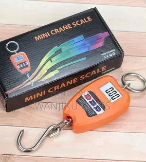 200kg Mini Digital Crane Scale