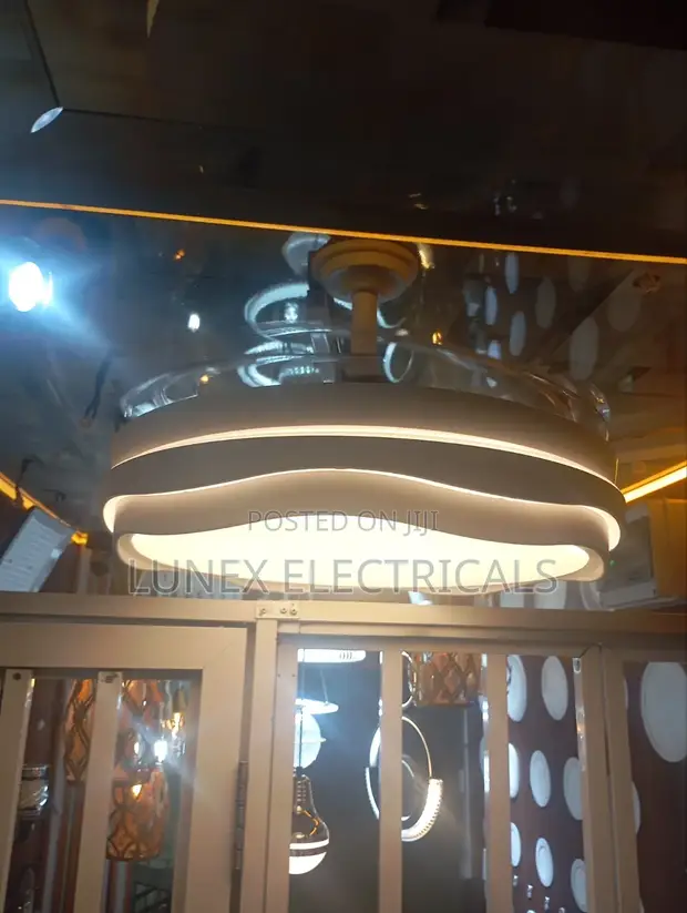 Ceiling Light with Fan - 1