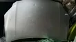 Toyota Corolla Fielder 141 Bonnet - 1