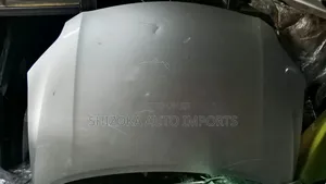 Toyota Corolla Fielder 141 Bonnet
