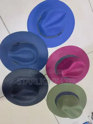 Kofia ya Fedora ya Wide Brim ya Rangi Nyingi