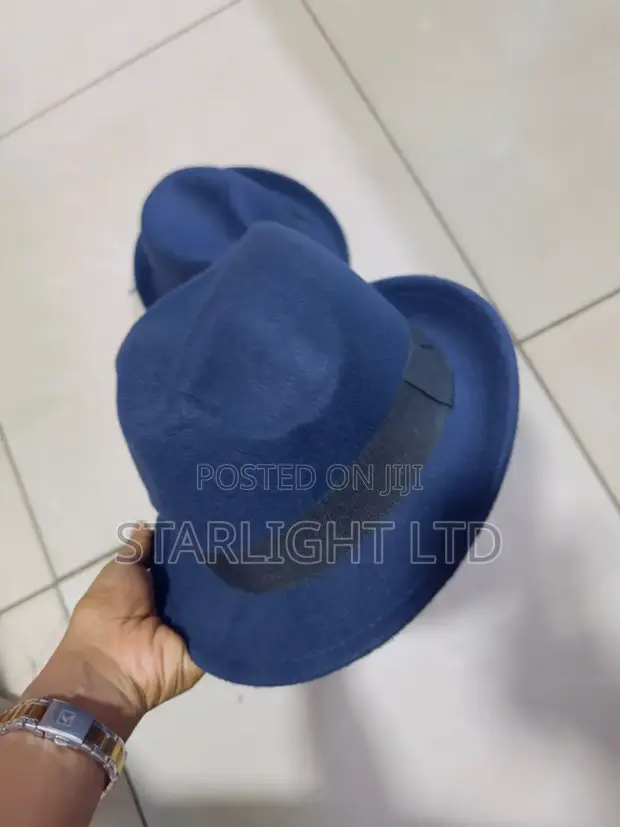 Kofia ya Fedora Nyeusi ya Bluu Yenye Brim Pana - 1