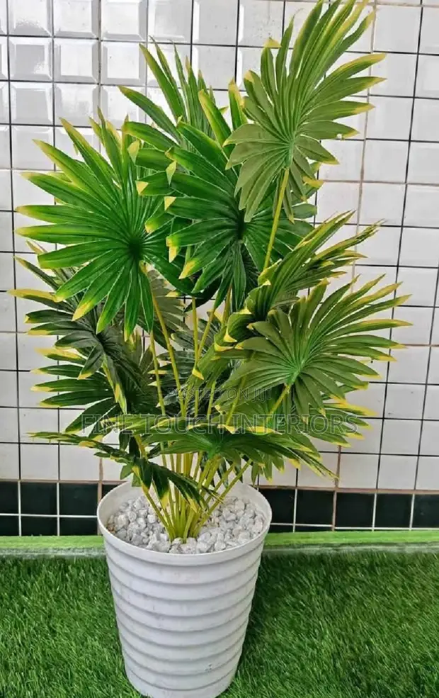 Mimea Bandia ya Better Homes & Gardens - 1