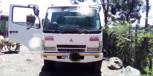 Mitsubishi Fuso Lori la Saruji