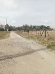 Viwanja vya 1/8 Kitengela Muigai Estate - KES 2.5M - 1