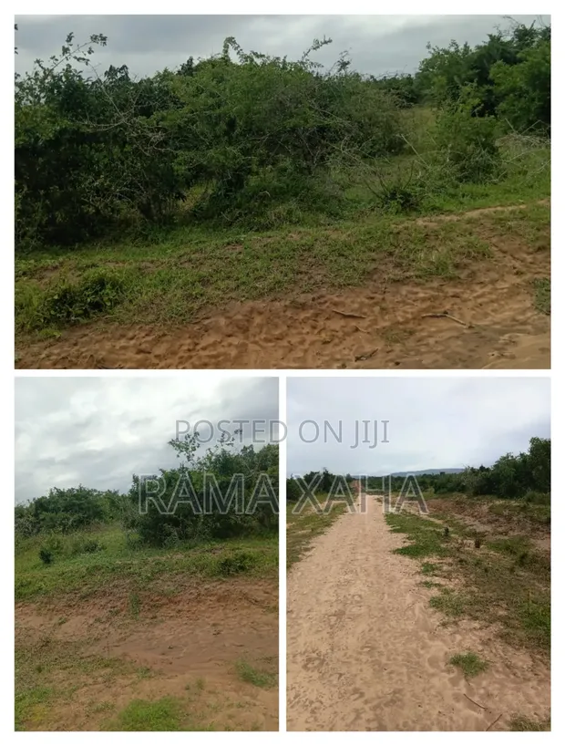 4 Acres Land with Title Deed for Sale at Sosobora - 1