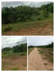 4 Acres Land with Title Deed for Sale at Sosobora - 1