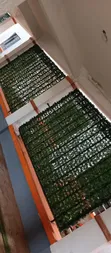 Fensi ya Mvuto ya Mimea Bandia ya Kijani - 1m x 3m - 2