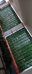 Fensi ya Mimea Bandia ya Kuficha Nafsi ya Nje - Majani Bandia - 2