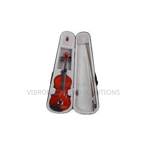 4/4 Full Size Violin - Solid Wood Body - 1