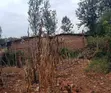 Eneo la Ekari 2.5 Bora Linauzwa Embu - 4