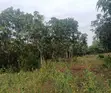 Eneo la Ekari 2.5 Bora Linauzwa Embu - 5