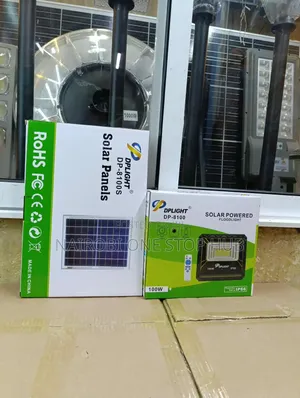 DP 100W Solar Floodlight